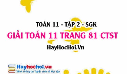 Giải Toán 11 trang 81 tập 2 Chân trời sáng tạo